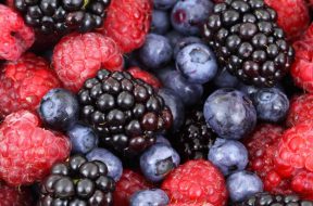 2017-04-27 14_16_29-background-berries-berry-blackberries-87818.jpeg ‎- Photos