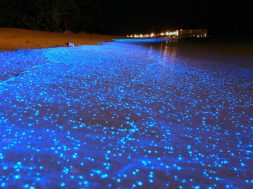 Maldives Beach That Looks Like Starry Night Sky