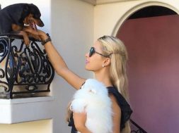 2017-03-29 15_42_54-Paris Hilton's Pets (@hiltonpets) • Instagram photos and videos