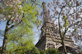 Paris_-_The_Eiffel_Tower_in_spring_-_2307