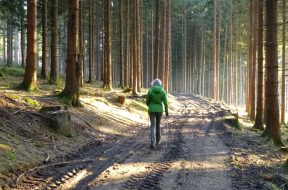 Nordic_Walking_im_Wald