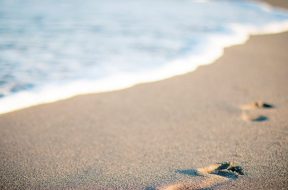 2017-07-27 17_37_50-Free stock photo of beach, salt water, sand