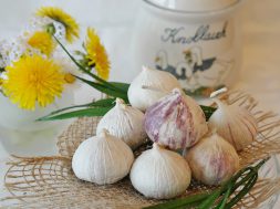 flora-flowers-freshness-garlic-416450