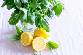 sliced-lemon-and-basil-leaves-on-glass-1585849