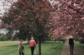 people-walking-near-trees-2253911