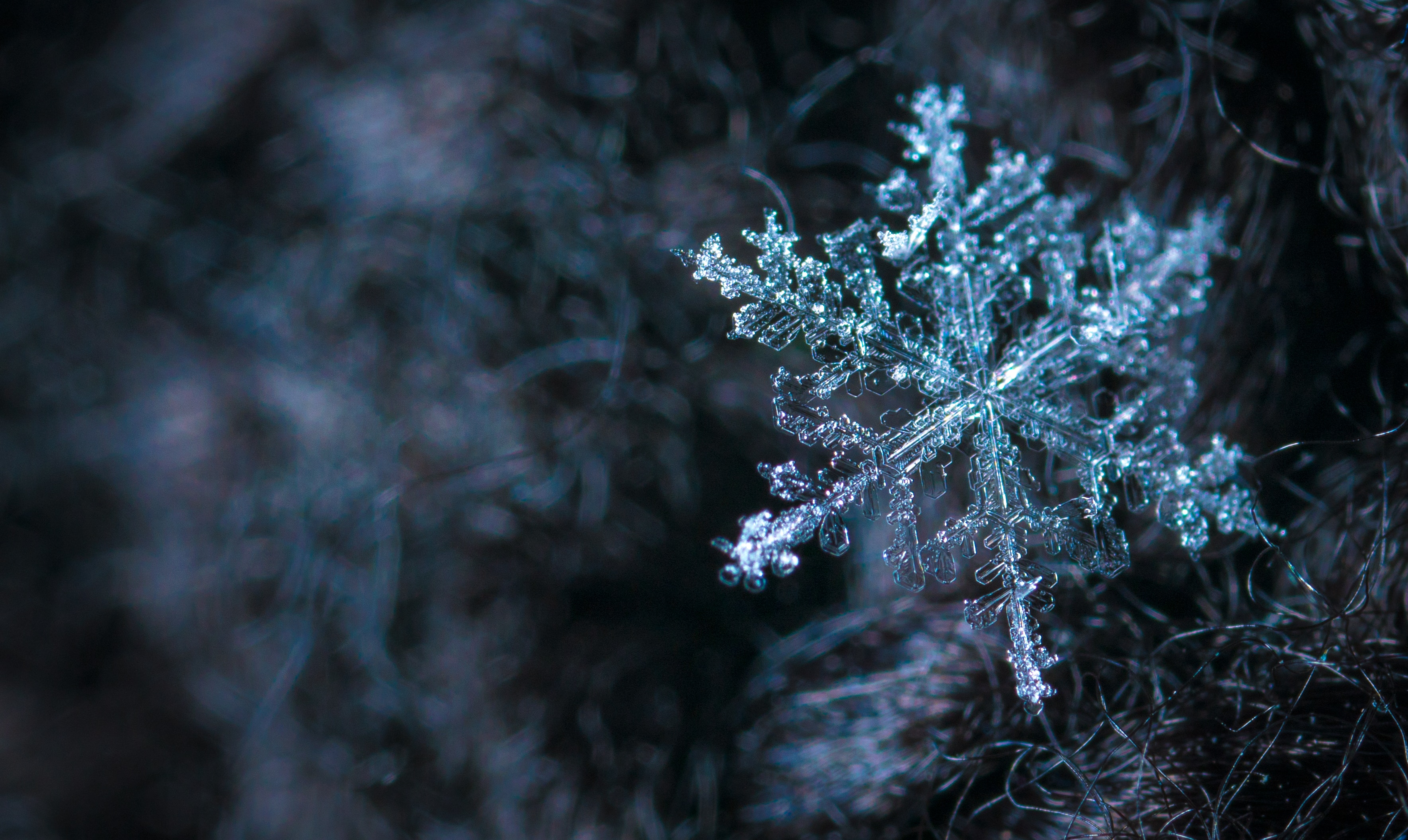 Reshje dhe ulje temperaturash, ja si pritet të jetë moti gjatë ditës së sotme