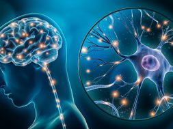 Human brain stimulation or activity with neuron close-up 3D rendering illustration. Neurology, cognition, neuronal network, psychology, neuroscience scientific concepts.