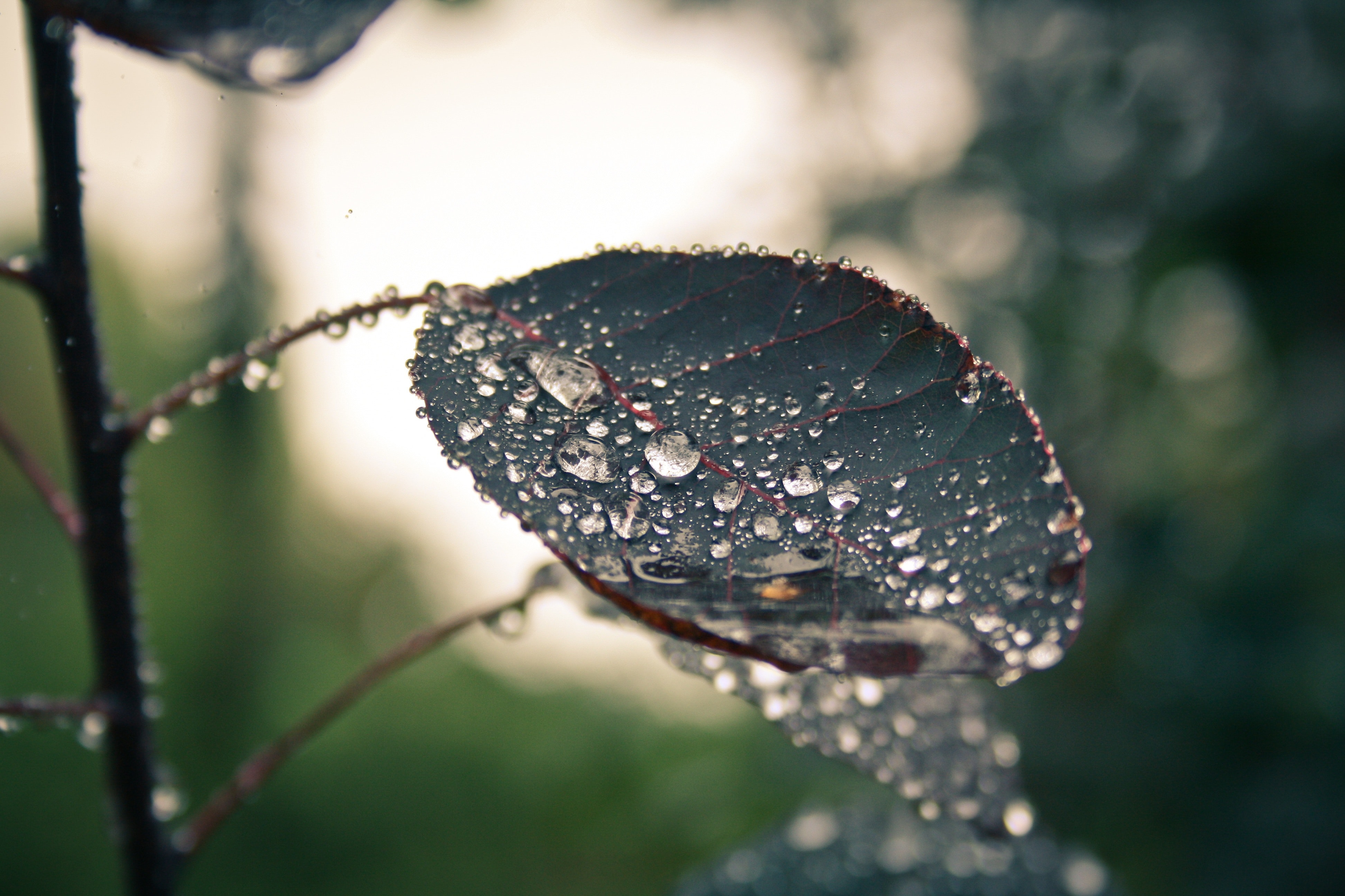 Rënie temperaturash, ja çfarë parashikon moti për sot