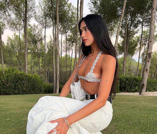 Çfarë ndodhi? Dua Lipa “braktis” festivalin ‘Sunny Hill’