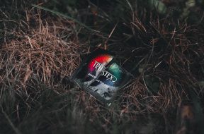 pexels-erik-mclean-9459190