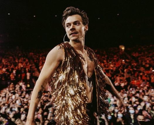 Harry Styles përballet me kërkesën ‘erotike’ të fanses, ja si reagon ai