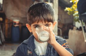 pexels-samer-daboul-1210005