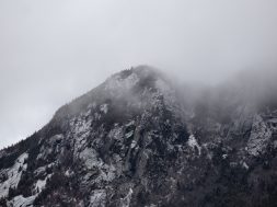 pexels-free-nature-stock-1058942
