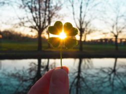 sunset sunlight