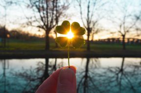 sunset sunlight