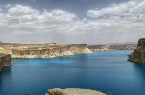 ditemere (1)