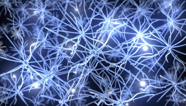 Neuralink i Elon Musk mbledh miliona dollarë!