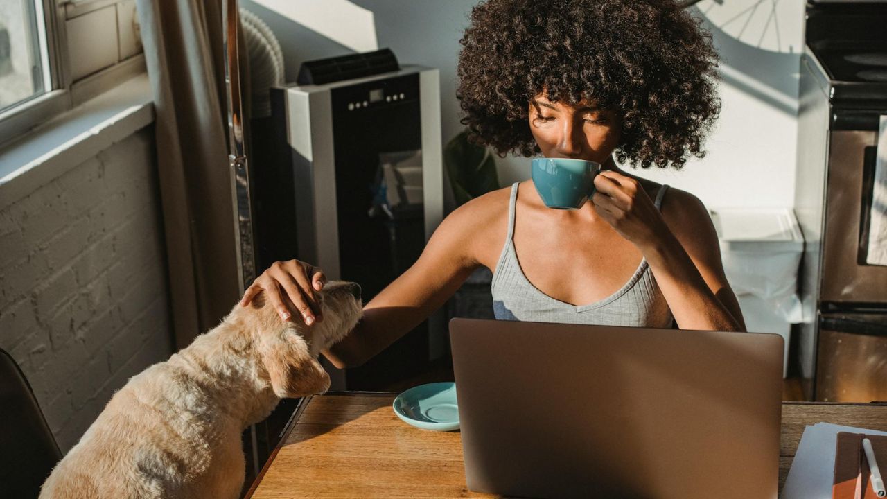 Një studim i ri i Harvardit thotë se kjo është ajo që u ndodh grave që pinë kafe çdo ditë