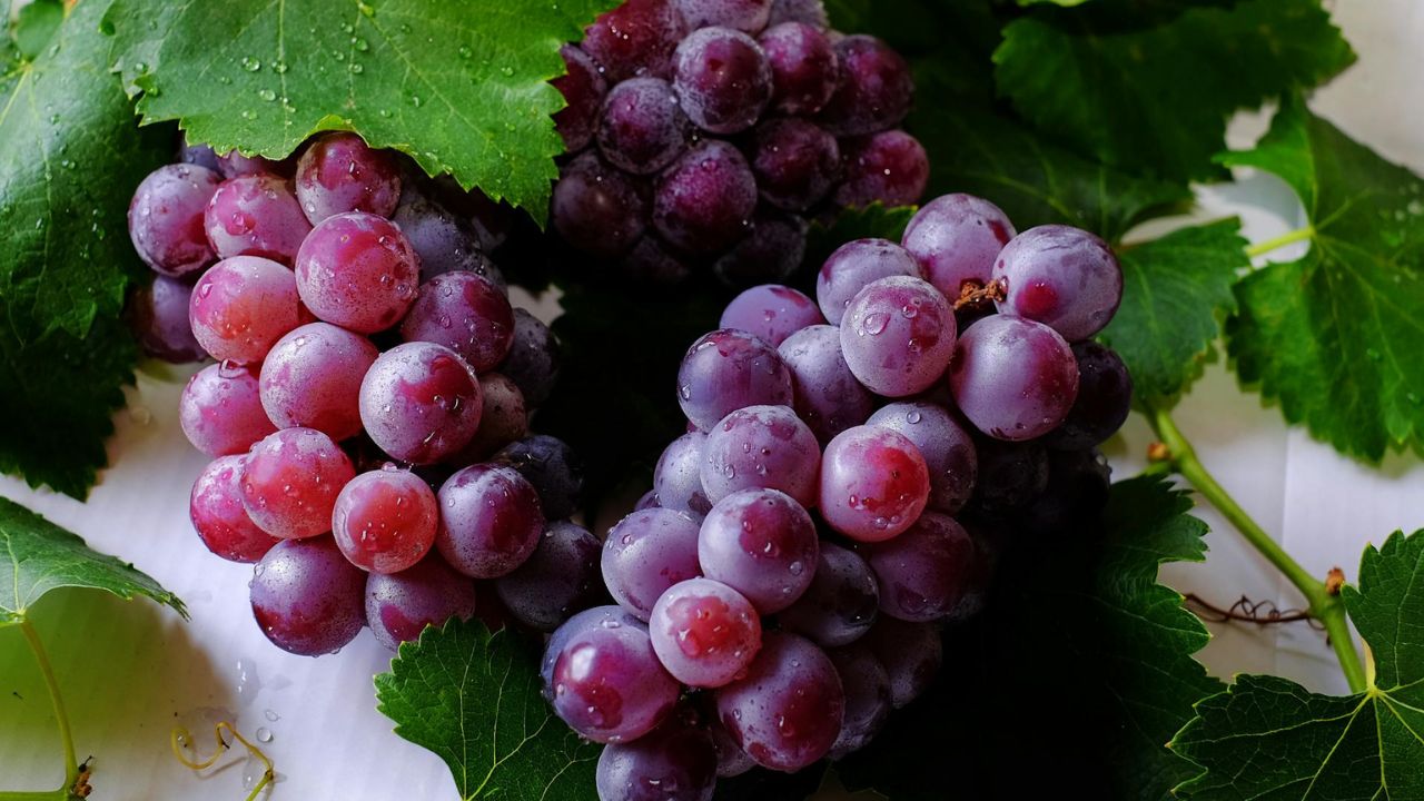 Cilat fruta kanë më shumë sheqer — dhe cilat janë më të mirat për ju?
