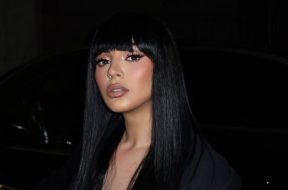 fifi (3)