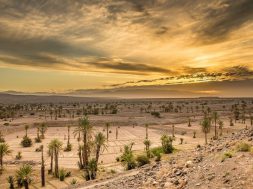 desert