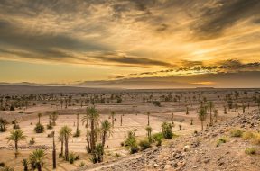 desert