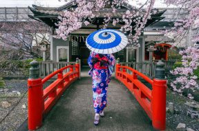 japoni (1)