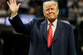 trump (5)