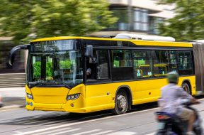 bus