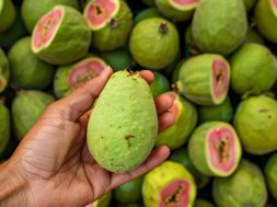 guava