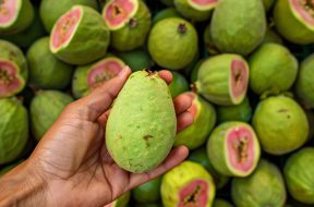 guava