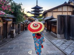 japoni (2)