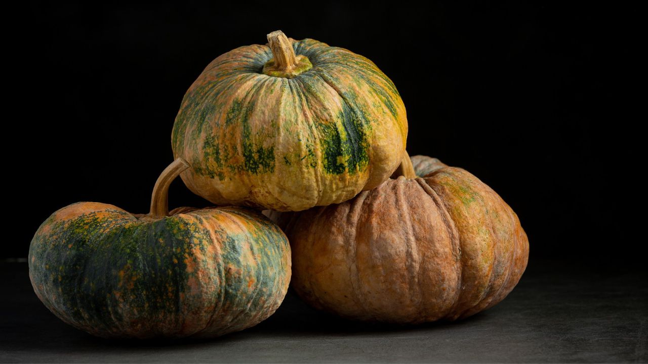 Përfitimet e ngrënies së kungullit: pse duhet ta përfshini në dietën tuaj