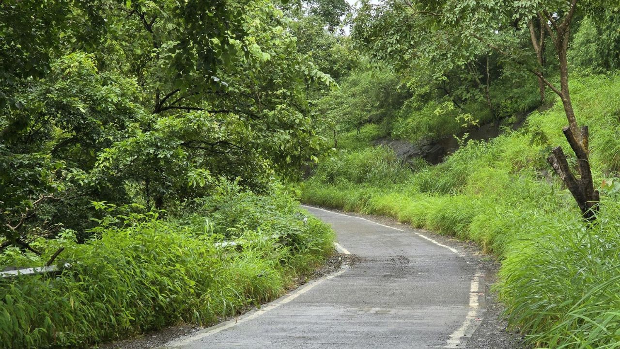 Parashikimi motit, 28 tetor 2025