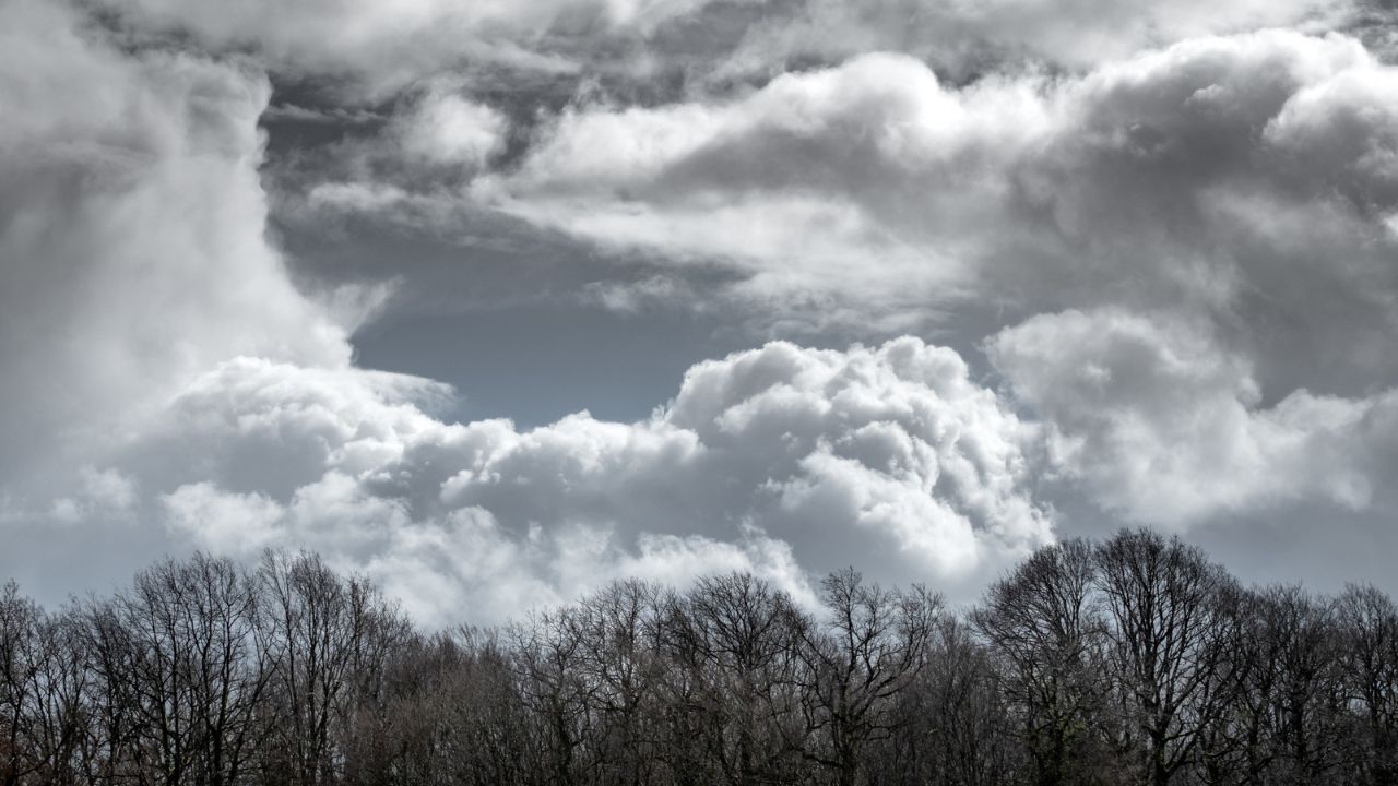 Parashikimi motit, 21 nentor 2025