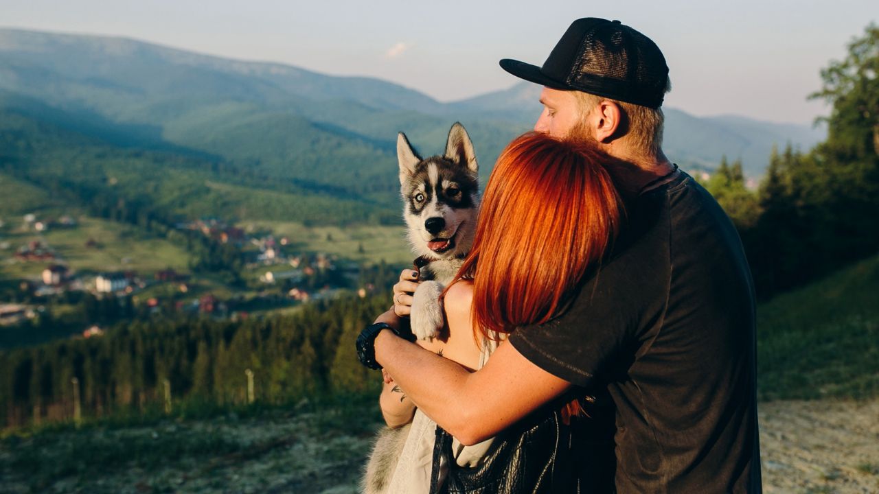 Qyteti turistik italian vendos taksë për qentë që vizitojnë qytetin