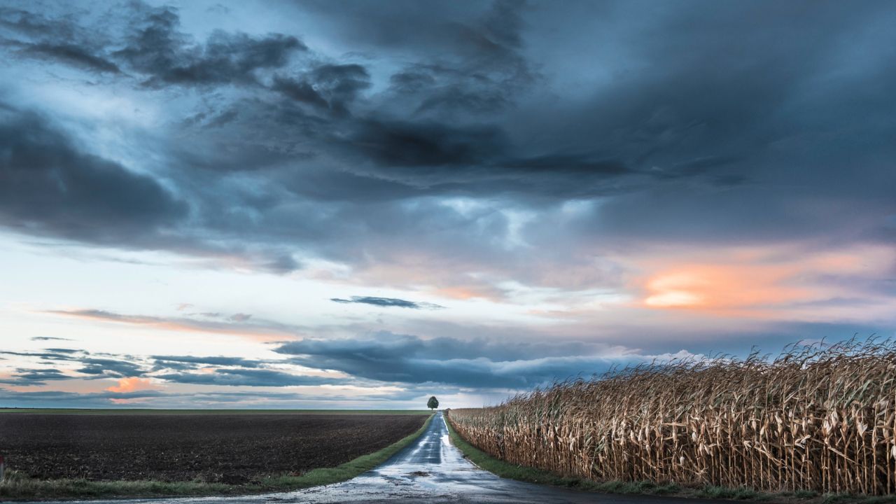 Parashikimi motit, 6 dhjetor 2025