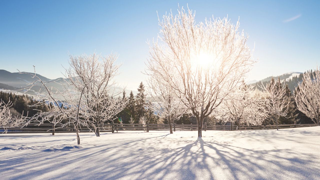 Parashikimi motit, 13 dhjetor 2025