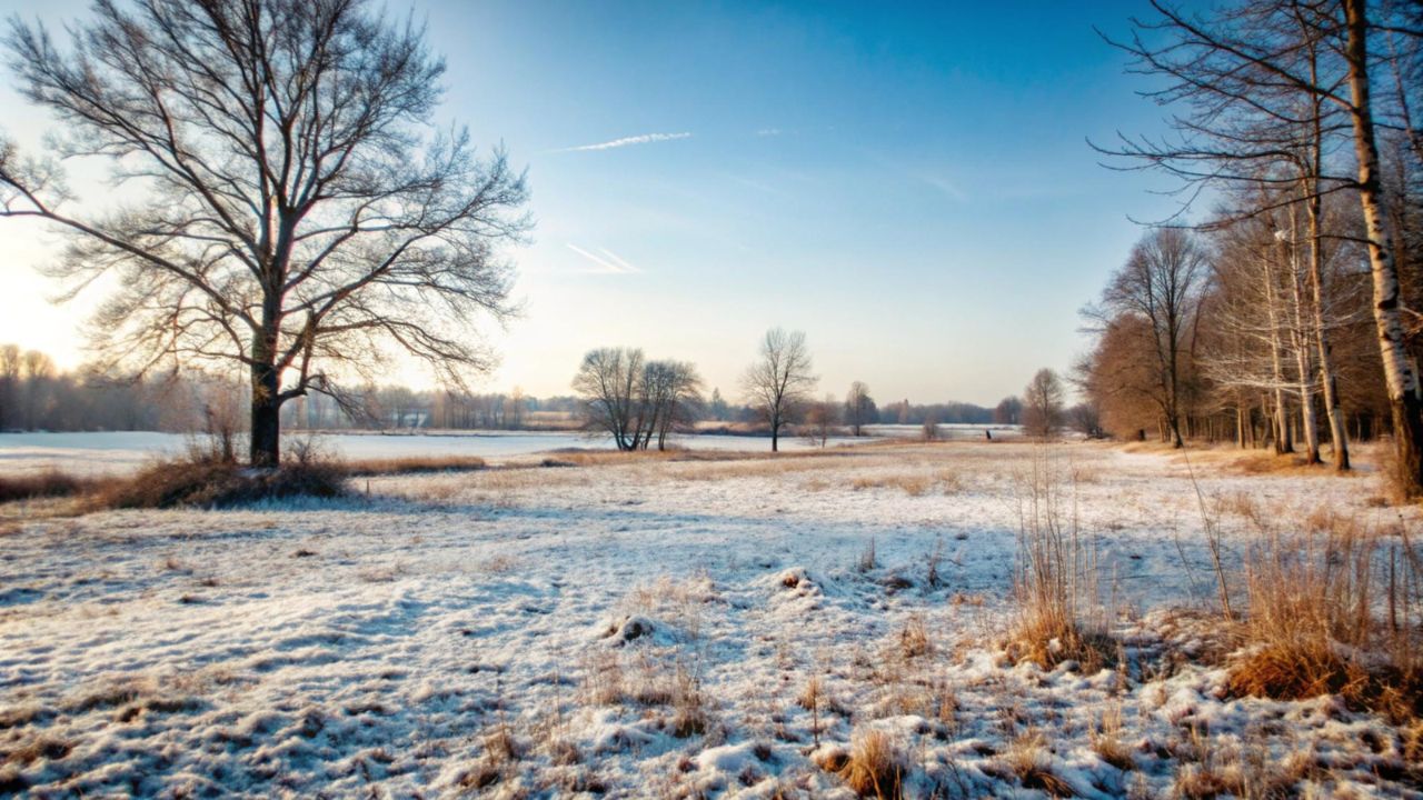 Parashikimi motit, 18 dhjetor 2025