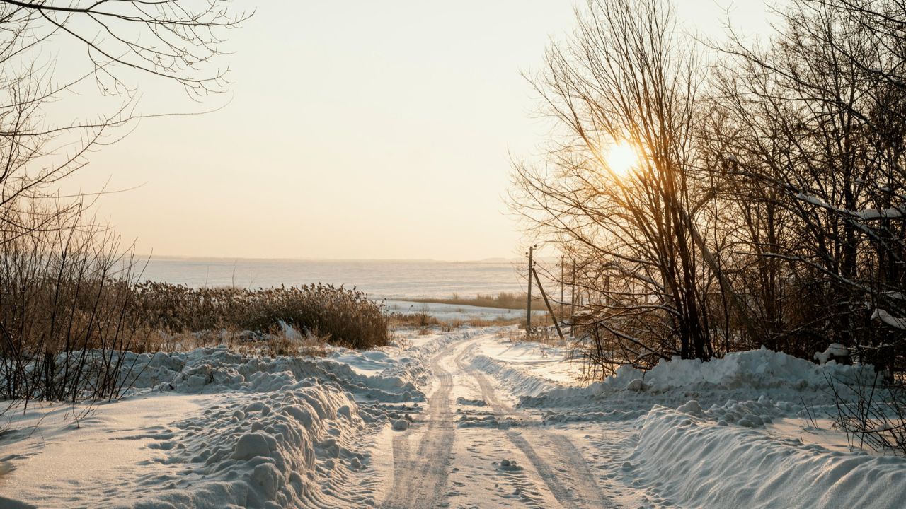 Parashikimi motit, 29 dhjetor 2025