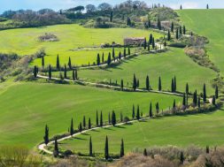 toskana (1)