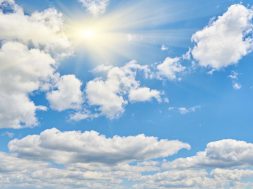 moti - 2026-01-19T091107.477