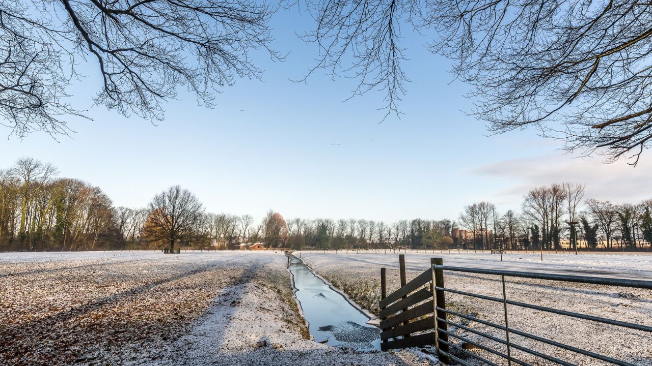 Parashikimi motit, 20 janar 2026