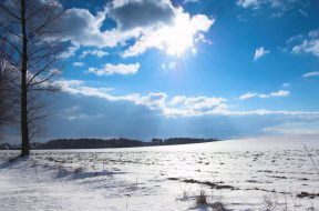 moti - 2026-01-22T091336.281