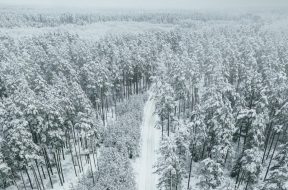 moti - 2026-01-23T090912.261