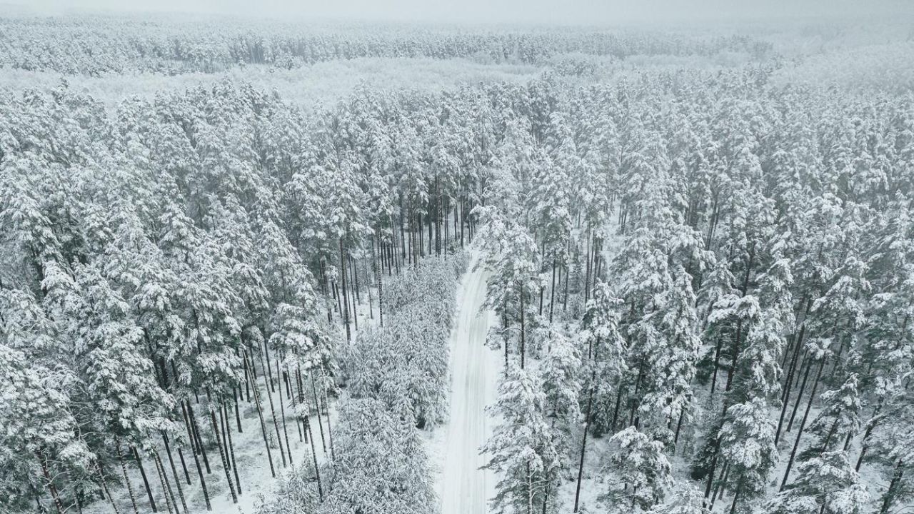 Parashikimi motit, 23 janar 2026