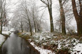 moti - 2026-01-27T090902.230