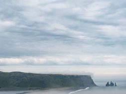 moti - 2026-01-31T093939.688