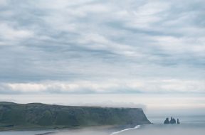 moti - 2026-01-31T093939.688