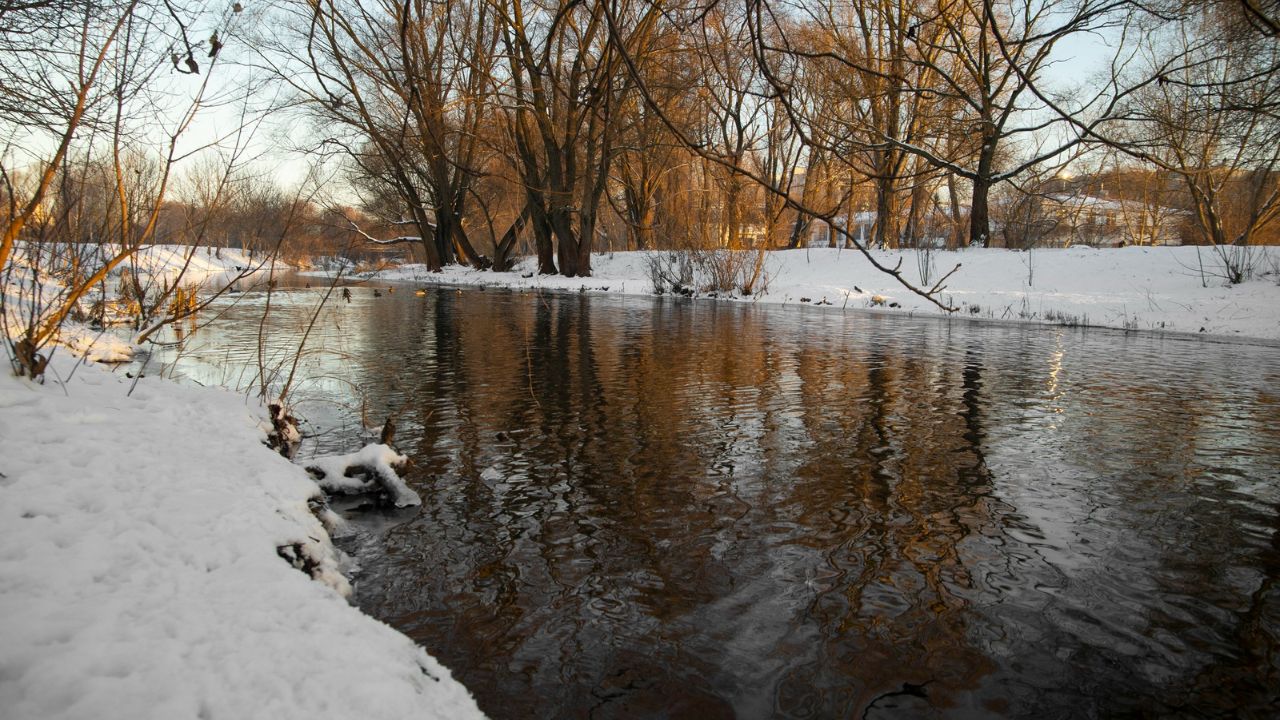 Parashikimi motit, 3 janar 2026